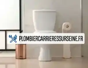 Remplacement de wc Carrières-sur-Seine